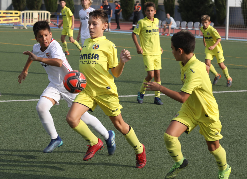 Cotif Alcudia
