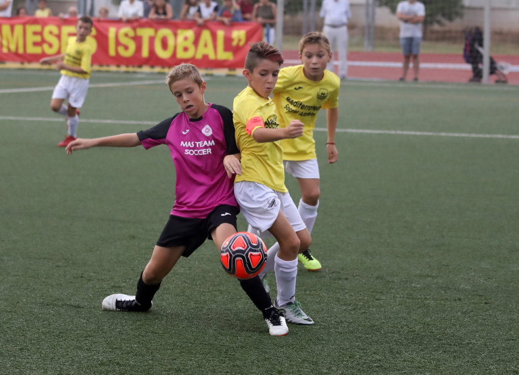 Cotif Alcudia