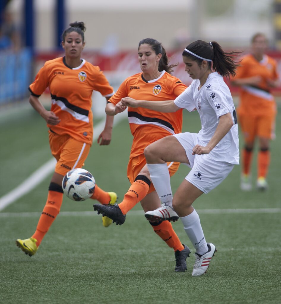 Cotif Alcudia