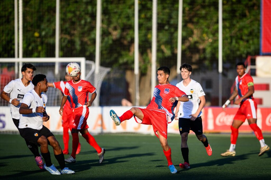 Cotif Alcudia